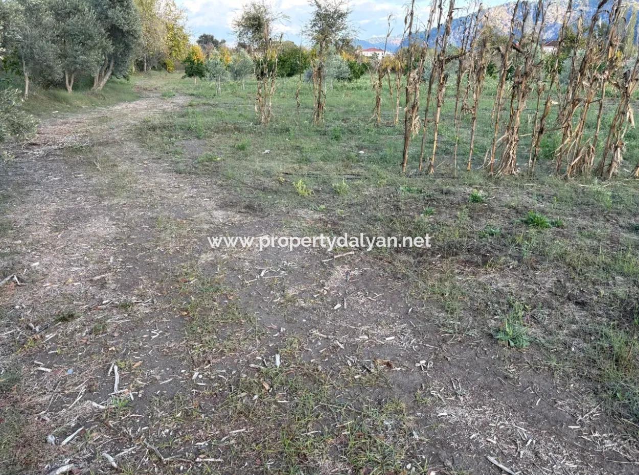 7.450M2 Land Zum Verkauf In Der Nähe Des Zentrums Von Dalyan