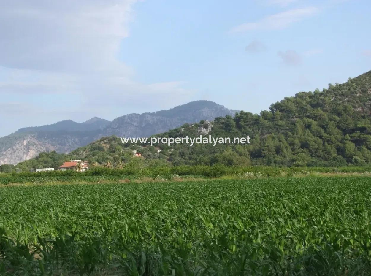 Bauernhof Zum Verkauf In Der Nähe Des Zentrums Von Dalyan,14, 612M2 Bauernhof Zum Verkauf