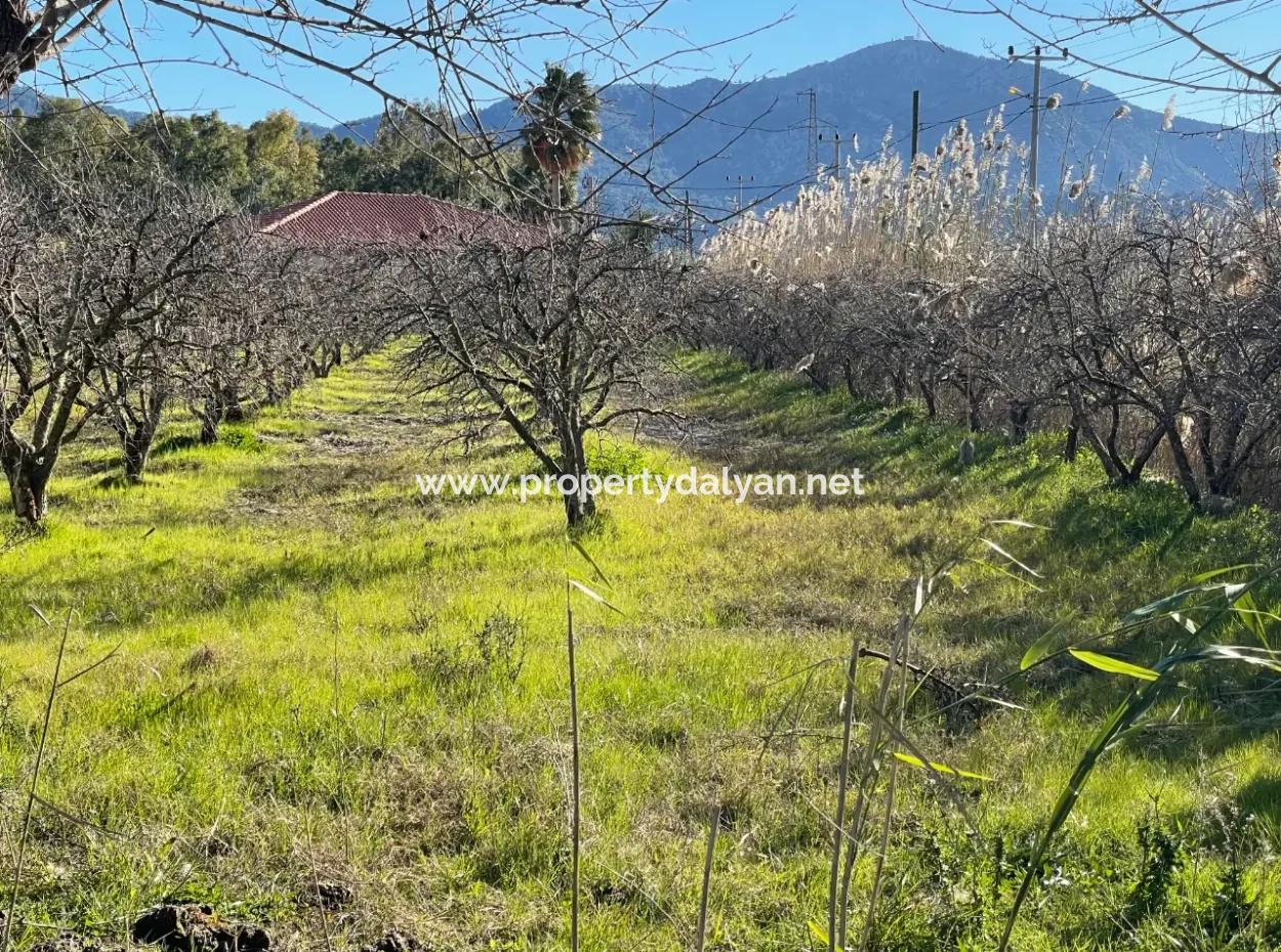 Dalyan Iztuzu Road Zero 5216M2 Feldgrundstück Zum Verkauf