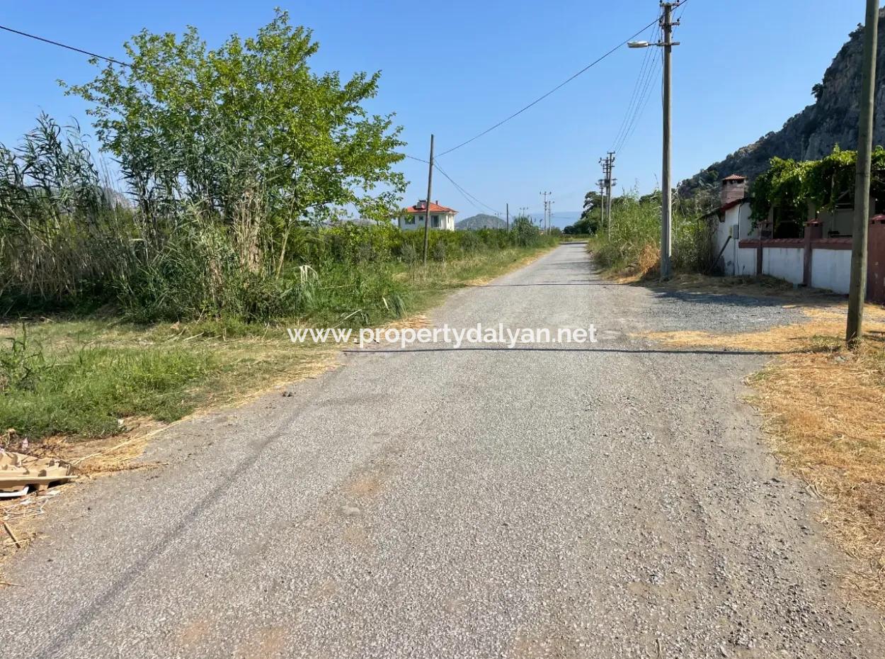 10.000 M2 Granatapfelgarten Zum Verkauf In Dalyan Arıkbaşı Und Gerendüzün