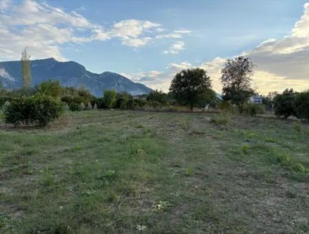 7.450M2 Land Zum Verkauf In Der Nähe Des Zentrums Von Dalyan