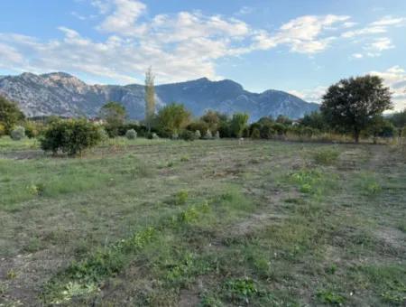 7.450M2 Land Zum Verkauf In Der Nähe Des Zentrums Von Dalyan