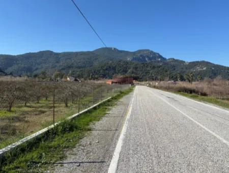 5985M2 5% Zoniertes Land Zum Verkauf In Dalyan Als Weinberggarten