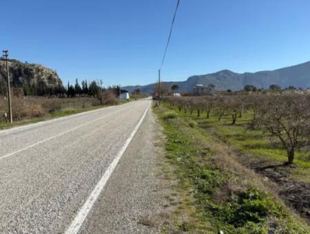 5985M2 5% Zoniertes Land Zum Verkauf In Dalyan Als Weinberggarten