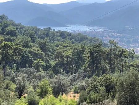 Tourismus-Zonen Grundstücke Zum Verkauf In Göcek Mit Meerblick Zum Verkauf In Gocek