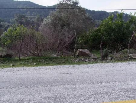 Zum Verkauf In Koycegiz, Dalyan Grundstück Zum Verkauf 10629M2