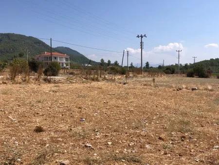 11.227M2 Grundstück Zum Verkauf Mit Seeblick In Köyceğiz Zeytinalan