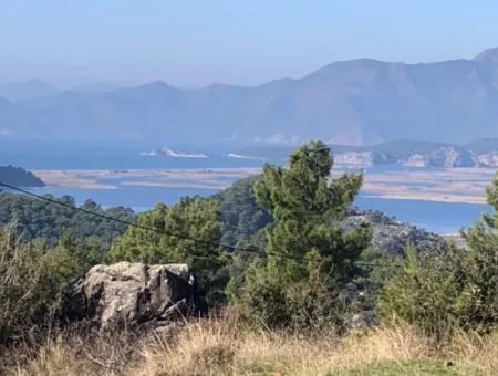 Gokbel Land Zu Verkaufen 8000M2 Land Zum Verkauf Mit Voller Meerblick