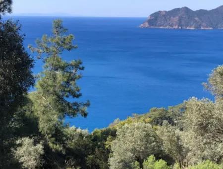 Grundstück Zum Verkauf Mit Meerblick In Çandir