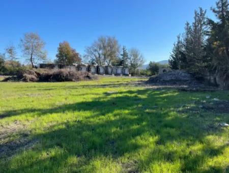 Bauernhof Zum Verkauf In Dalyan Grundstück Zum Verkauf In Highway Null 9029M2