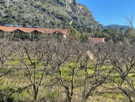 Dalyan Iztuzu Road Zero 5216M2 Feldgrundstück Zum Verkauf