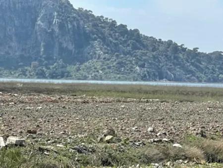 Dalyan Iztuzu Strand Straße Null 19.600M2 Feld Land Zum Verkauf