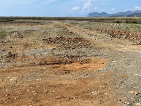 Dalyan Iztuzu Strand Straße Null 19.600M2 Feld Land Zum Verkauf