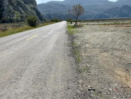 Dalyan Iztuzu Strand Straße Null 19.600M2 Feld Land Zum Verkauf