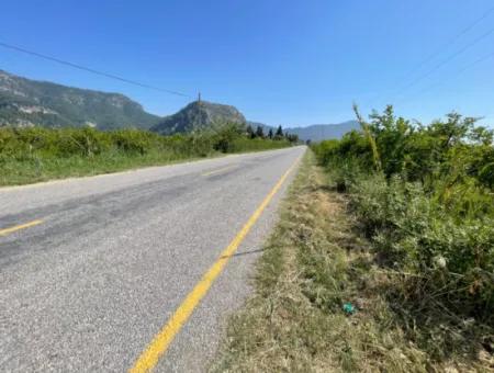 6.500 M2 Feld Zum Verkauf An Der Iztuzu-Straße In Dalyan