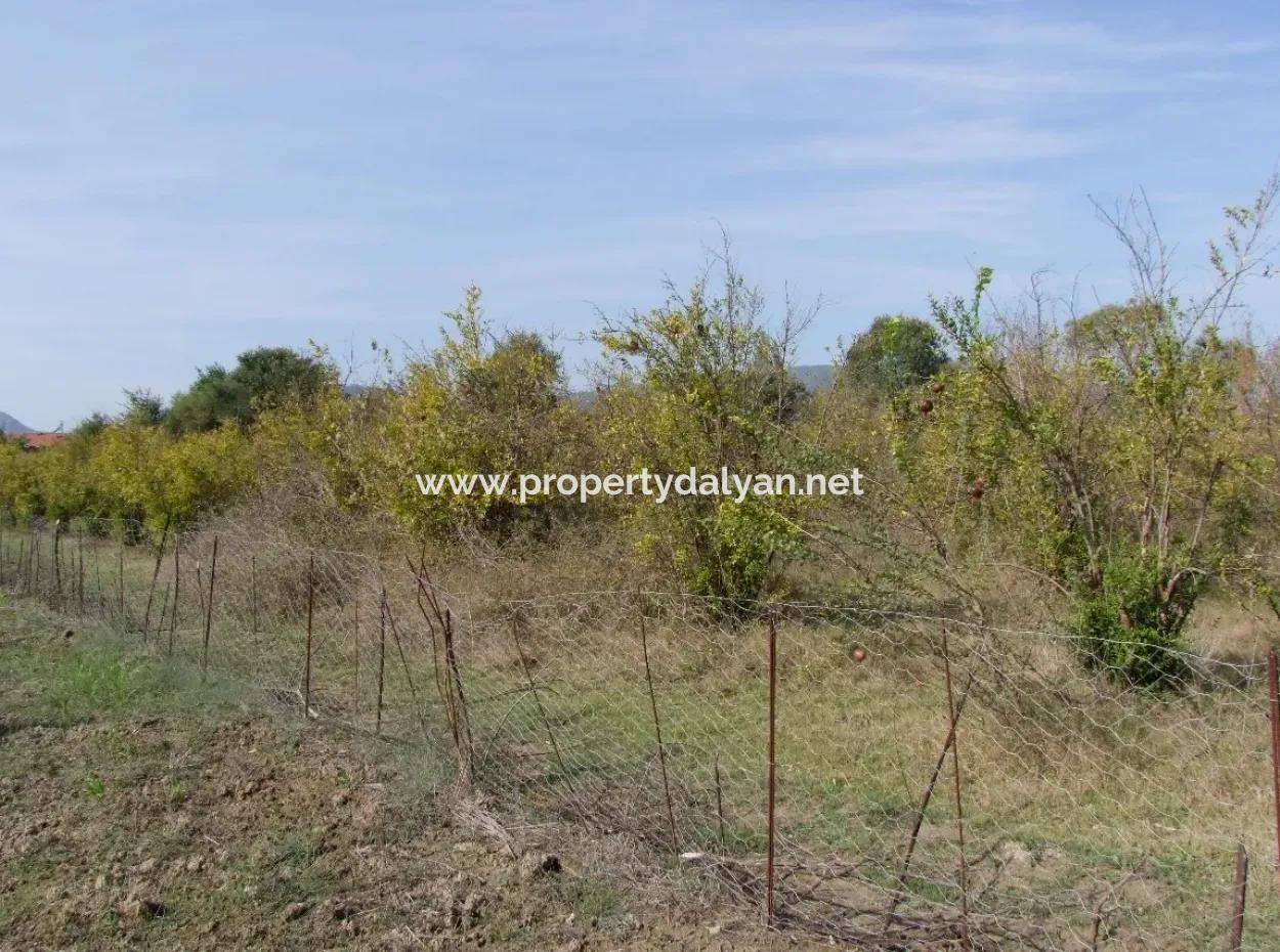 Güzelyurt Land For Sale Village Built 6670M2 Land For Sale