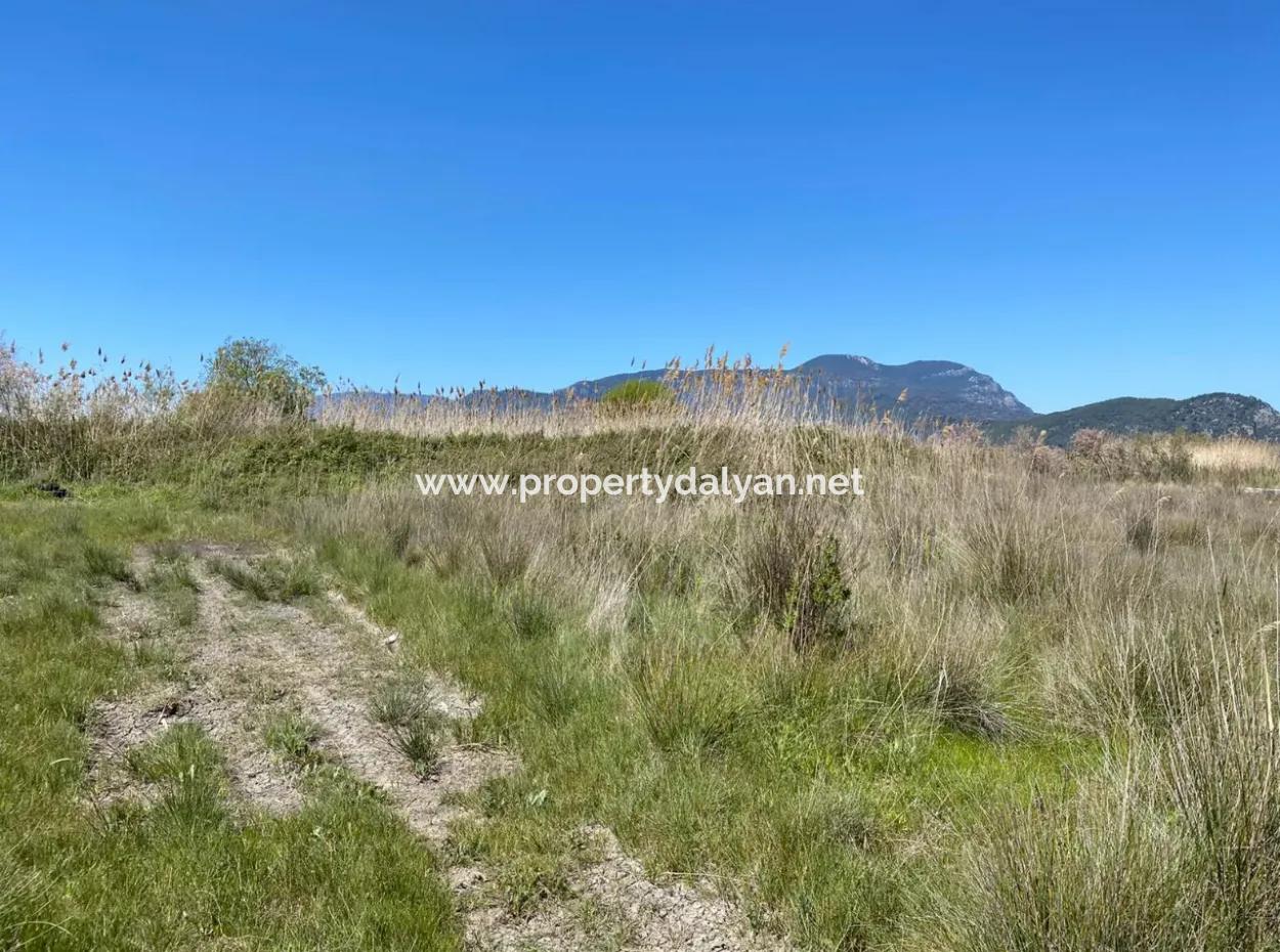 9310M2 Land For Sale In Dalyan