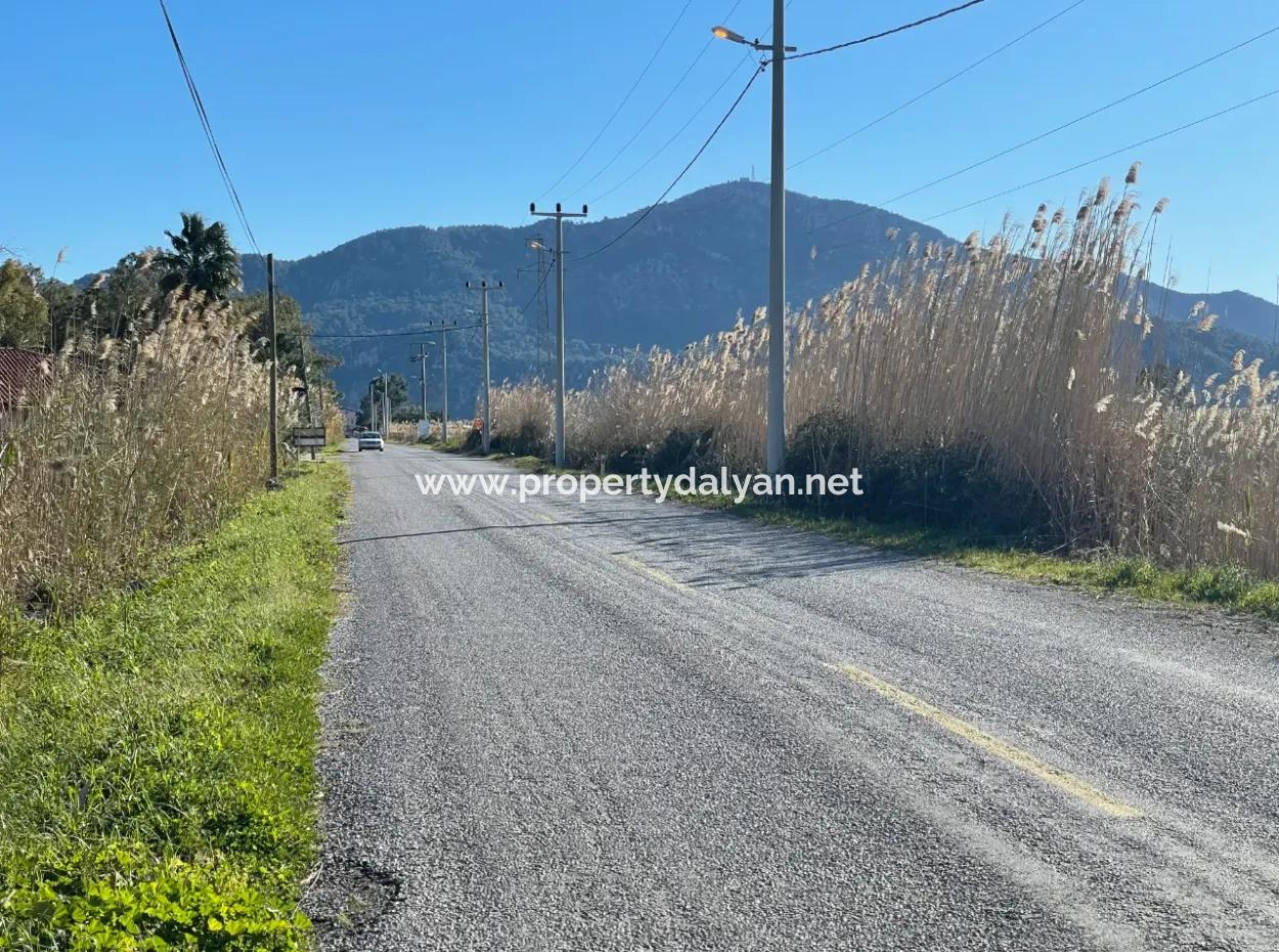 Dalyan Iztuzu Road Zero 5216M2 Field Plot For Sale