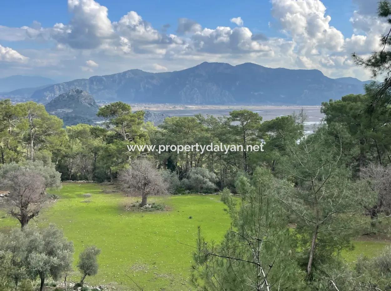 10,707M2 2B Field For Sale With Sea Lake View In Çandır