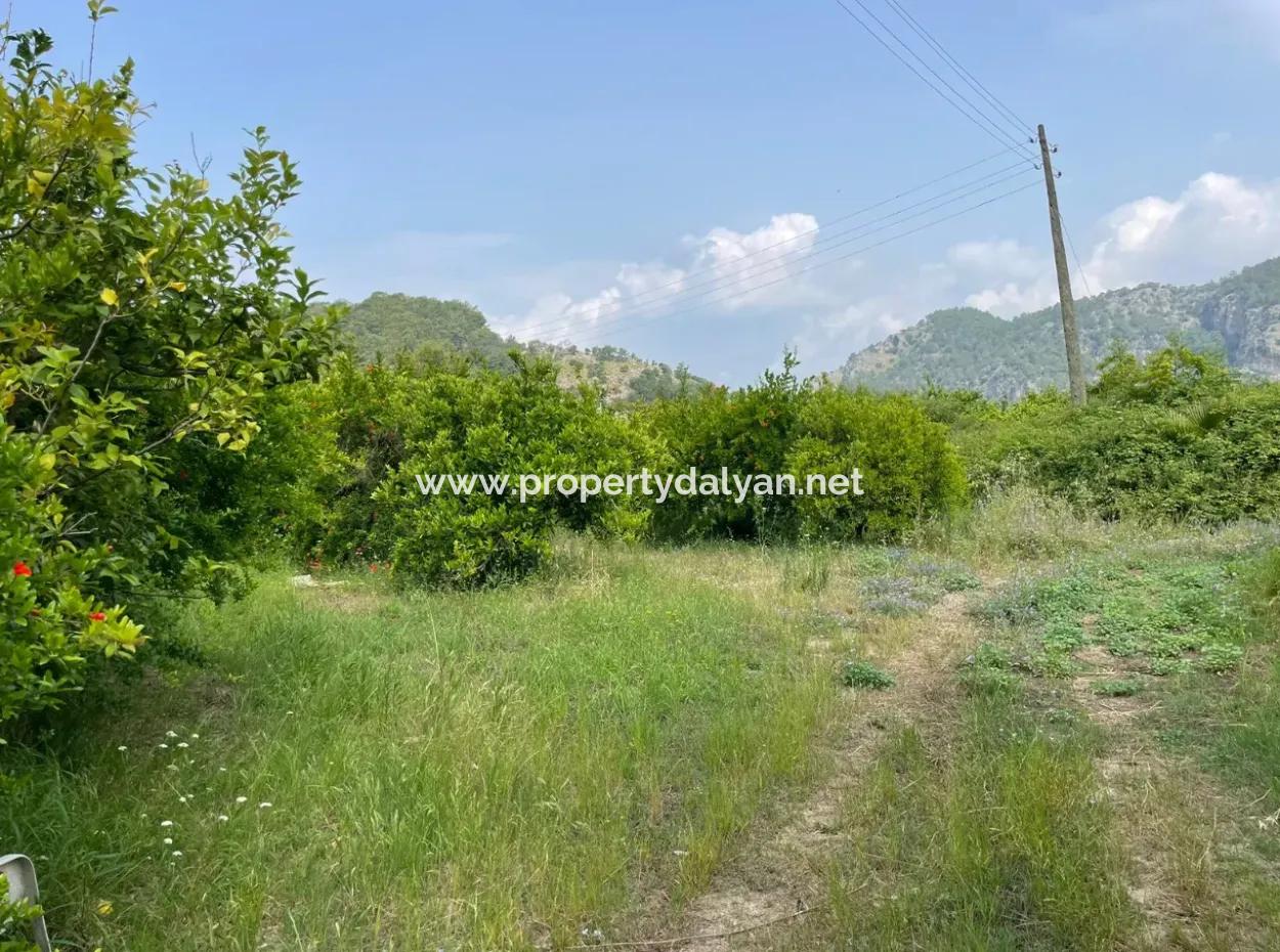 7800M2 Land For Sale At The Beginning Of Iztuzu Beach Road In Gökbel