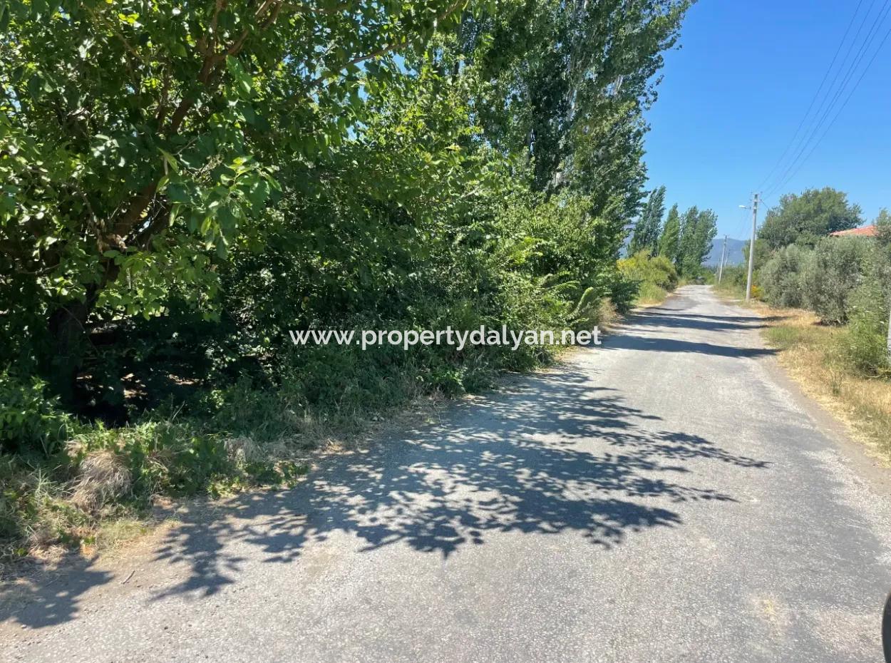 Road-New 6820M2 Pomegranate And Lemon Orchard Is For Sale In Tepearası