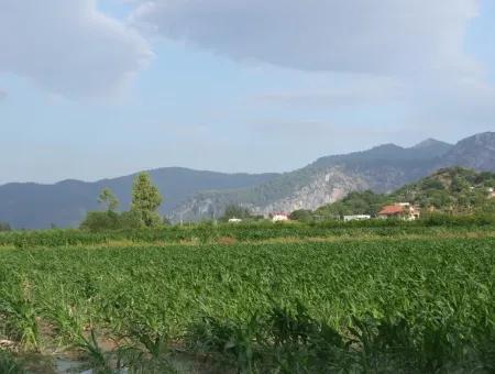 Farm For Sale Near The Centre Of Dalyan,14, 612M2 Farm For Sale