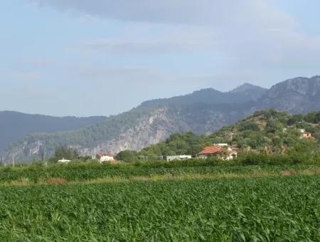 Farm For Sale Near The Centre Of Dalyan,14, 612M2 Farm For Sale