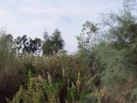 For Sale Land In Dalyan For Sale Dalyan Channel Zero