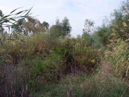 For Sale Land In Dalyan For Sale Dalyan Channel Zero