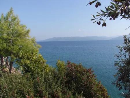 Beachfront Bungalow For Sale In Akbuk By The Sea In A Plot Of 800M2 Villa For Sale Turnalı