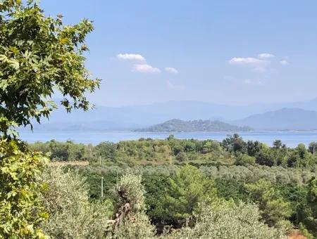 Land For Sale In Sultaniye 2285M2 Land For Sale Near The Lake