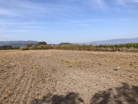 Land For Sale In Esköy 8500M2 Field Land For Sale