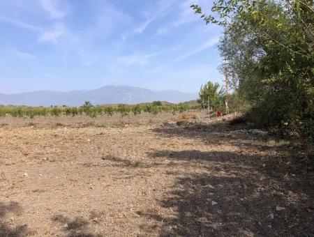 Land For Sale In Esköy 8500M2 Field Land For Sale