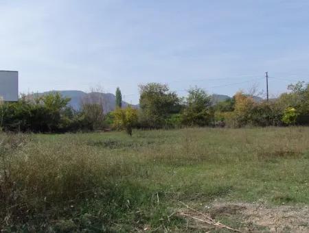 Land For Sale In Guzelyurt Land For Sale Zero 5515M2 Land For Sale On The Main Road