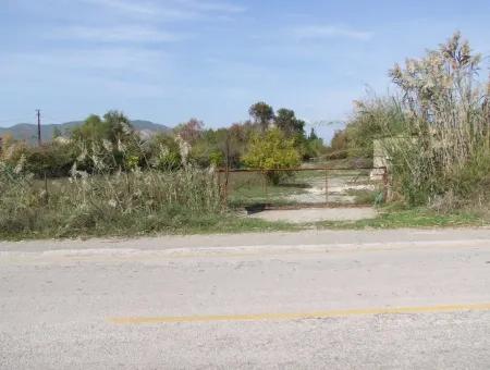 Land For Sale In Guzelyurt Land For Sale Zero 5515M2 Land For Sale On The Main Road