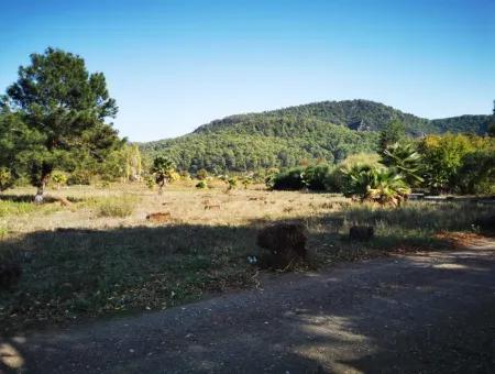 Land Land For Sale In Çamlıda Marmaris Çamlıda Sea View 11720M2 Land For Sale