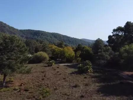 Land Land For Sale In Çamlıda Marmaris Çamlıda Sea View 11720M2 Land For Sale