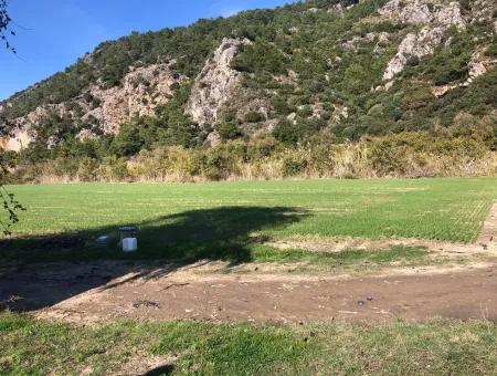 Land For Sale In Sarıgermede 30,000M2 Land For Sale With Sea View