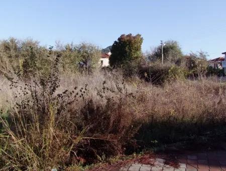 For Sale Plot For Sale Plot For Sale In Dalyan Gurpinar 1006M2 At The Corner