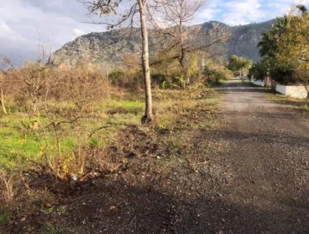 Dalyan Land For Sale Near The Center 3000M2 5% Zoning Land For Sale