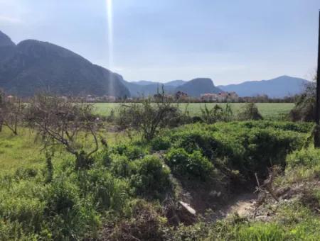 5500M2 Land For Sale In Dalyan