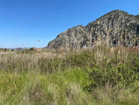 9310M2 Land For Sale In Dalyan