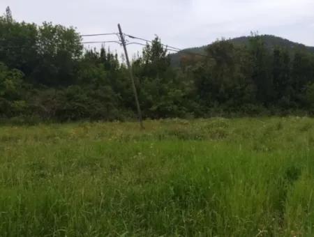 Land For Sale In Çamlida