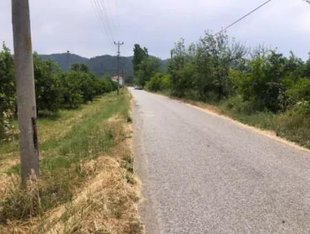 Land For Sale In Sourliyurtda 1085M2