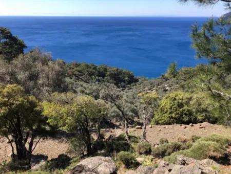 Land For Sale With Sea View In Çandir