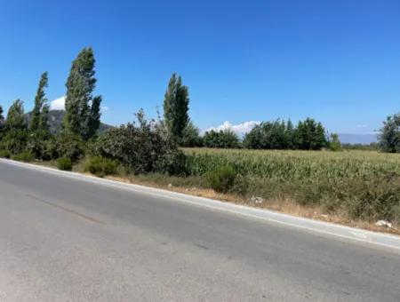 Dalyan Main Road Zero Land For Sale 8115M2 Commercial Land For Sale