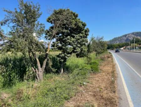 Dalyan Main Road Zero Land For Sale 8115M2 Commercial Land For Sale