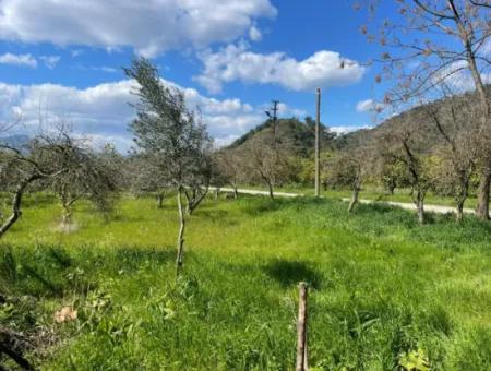 Village House For Sale In 1981M2 Plot In Sourliyurtda