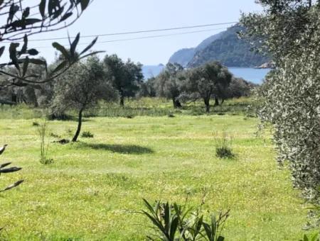 3250M2 Land For Sale In Ekincik With A View Near The Sea