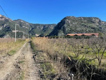 Dalyan Iztuzu Road Zero 5216M2 Field Plot For Sale